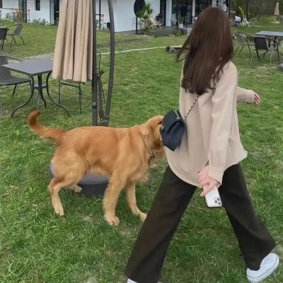 舞力假期